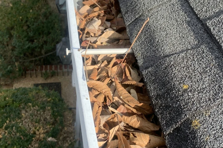 Gutter Cleaning Conway AR