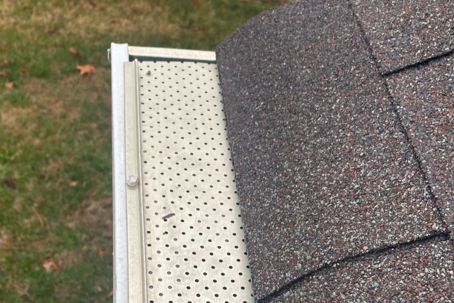 Gutter Cleaning Conway AR